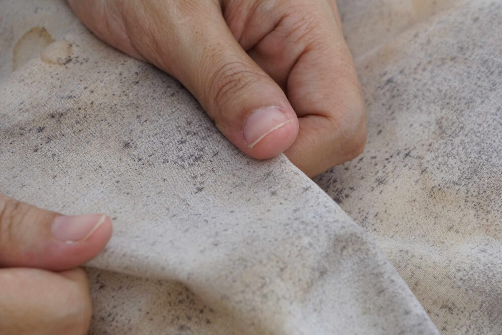 Küf Nasıl Önlenir?